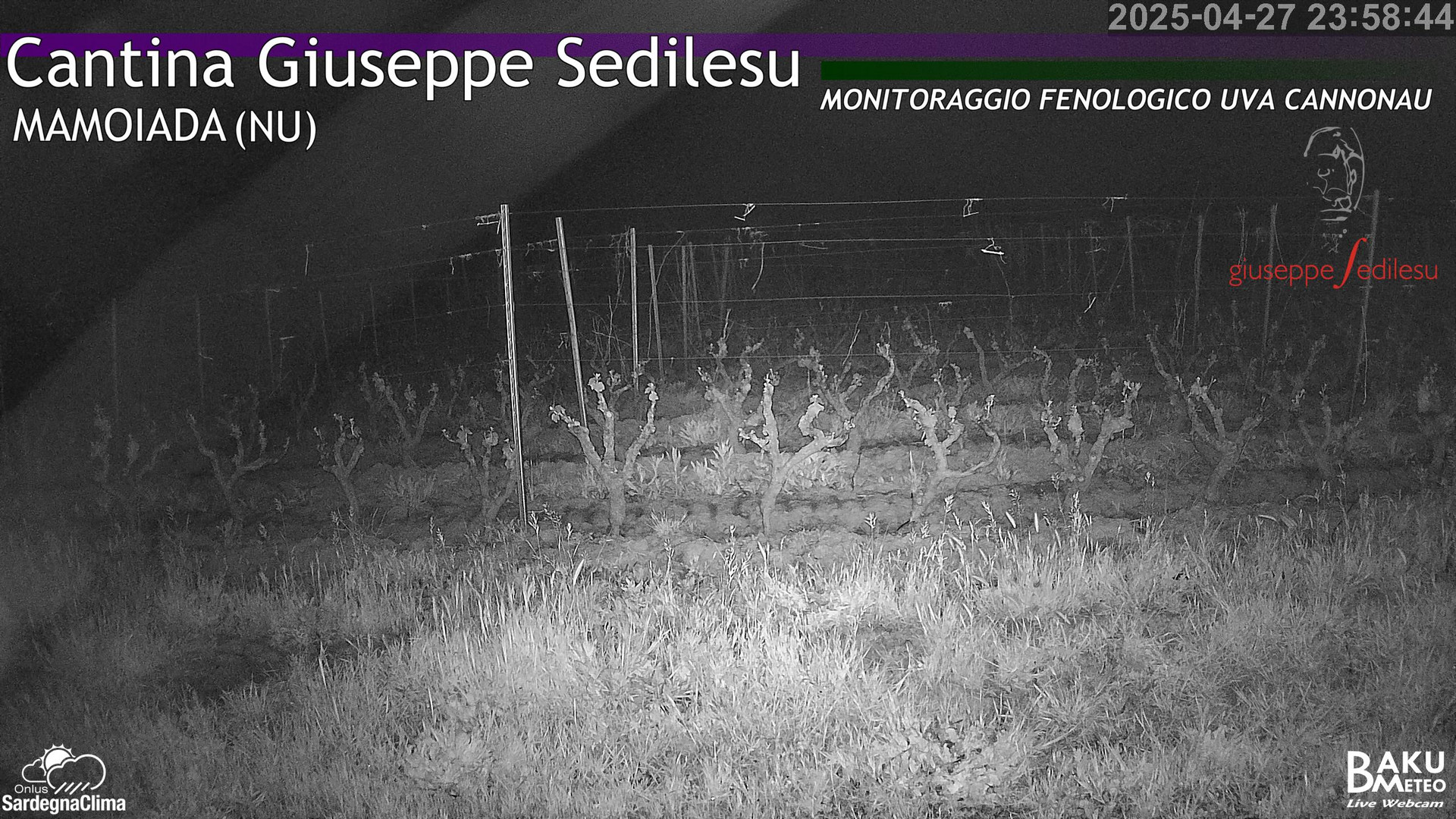 time-lapse frame, Mamoiada_Feonologica webcam