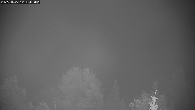 time-lapse frame, Mountain Cam webcam