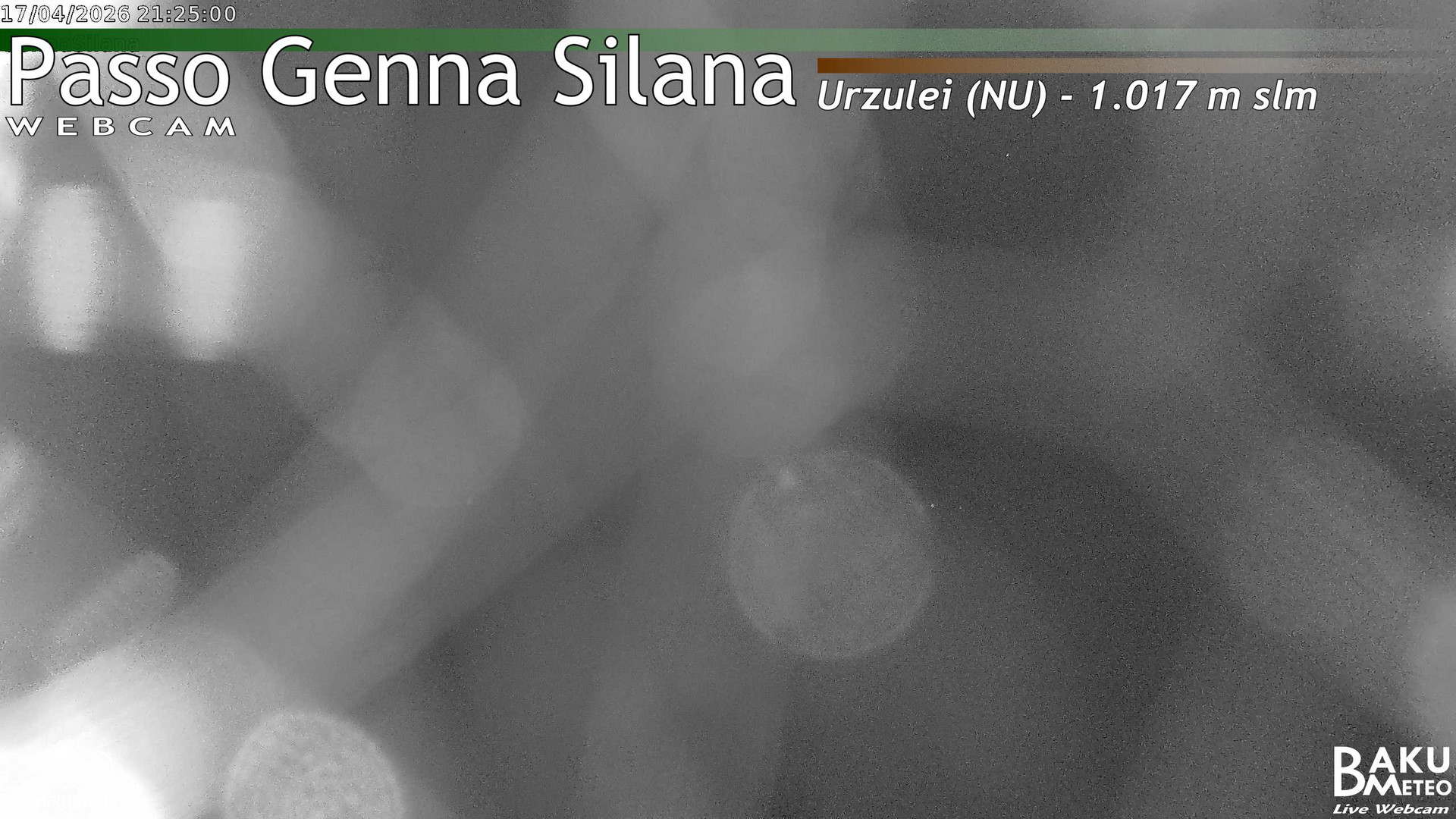 Genna Silana animated GIF