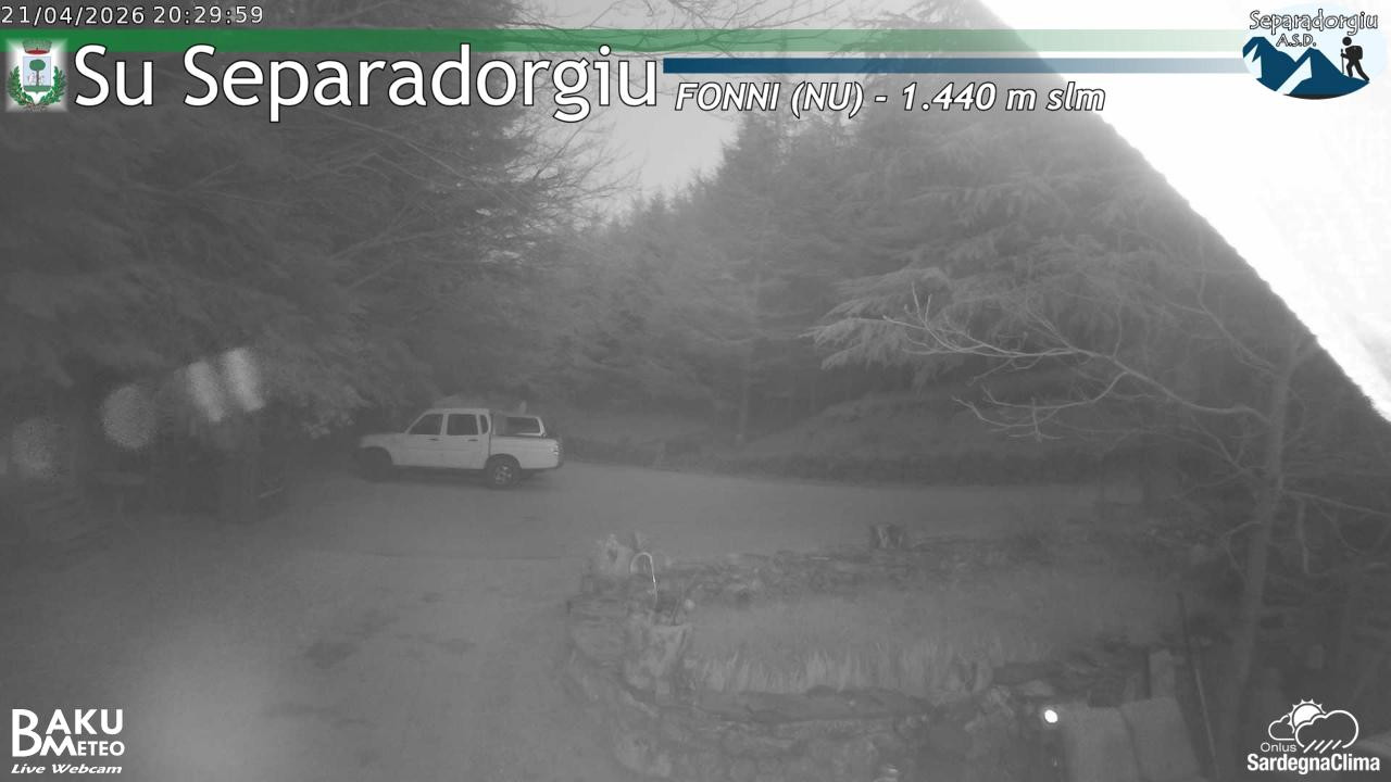 Separadorgiu animated GIF