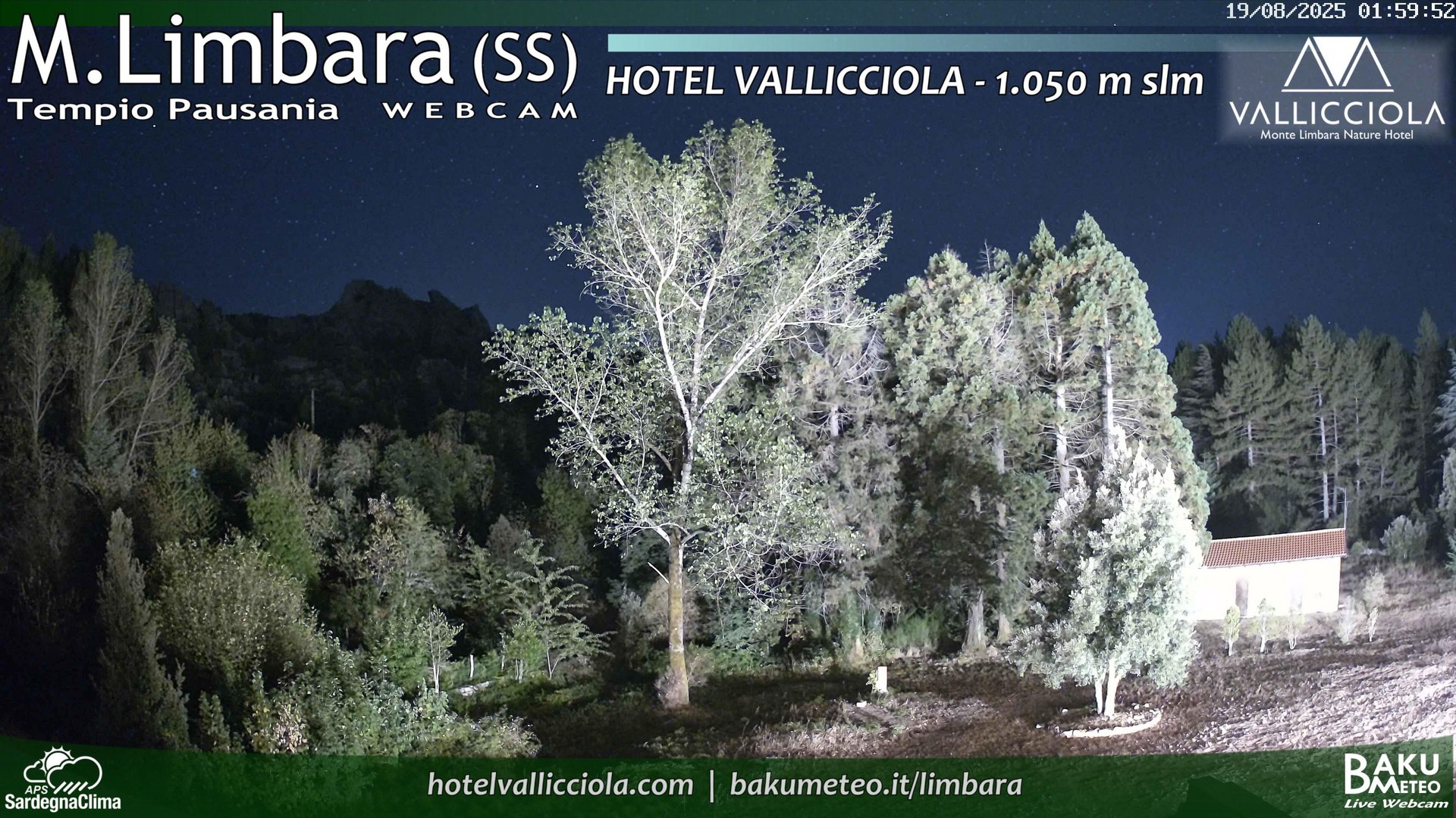 time-lapse frame, Monte Limbara Vallicciola webcam