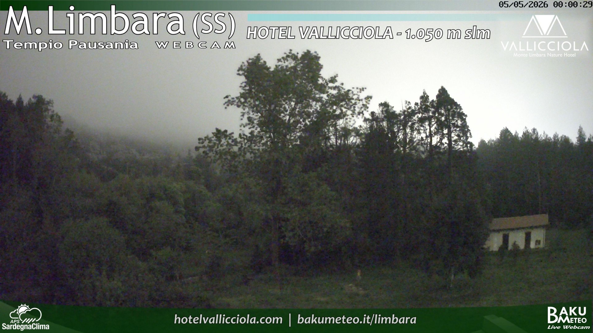 time-lapse frame, Monte Limbara Vallicciola webcam