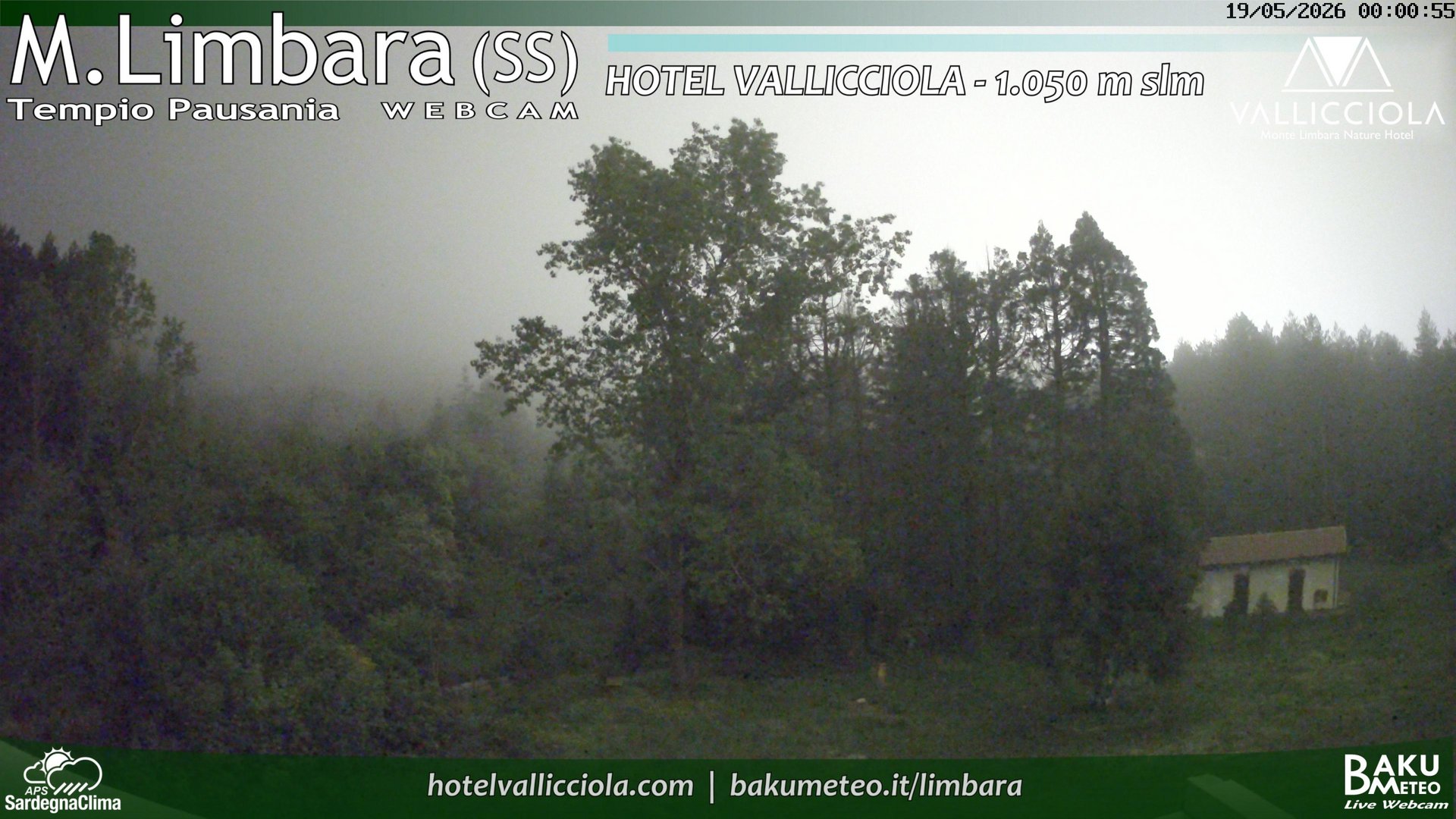 time-lapse frame, Monte Limbara Vallicciola webcam