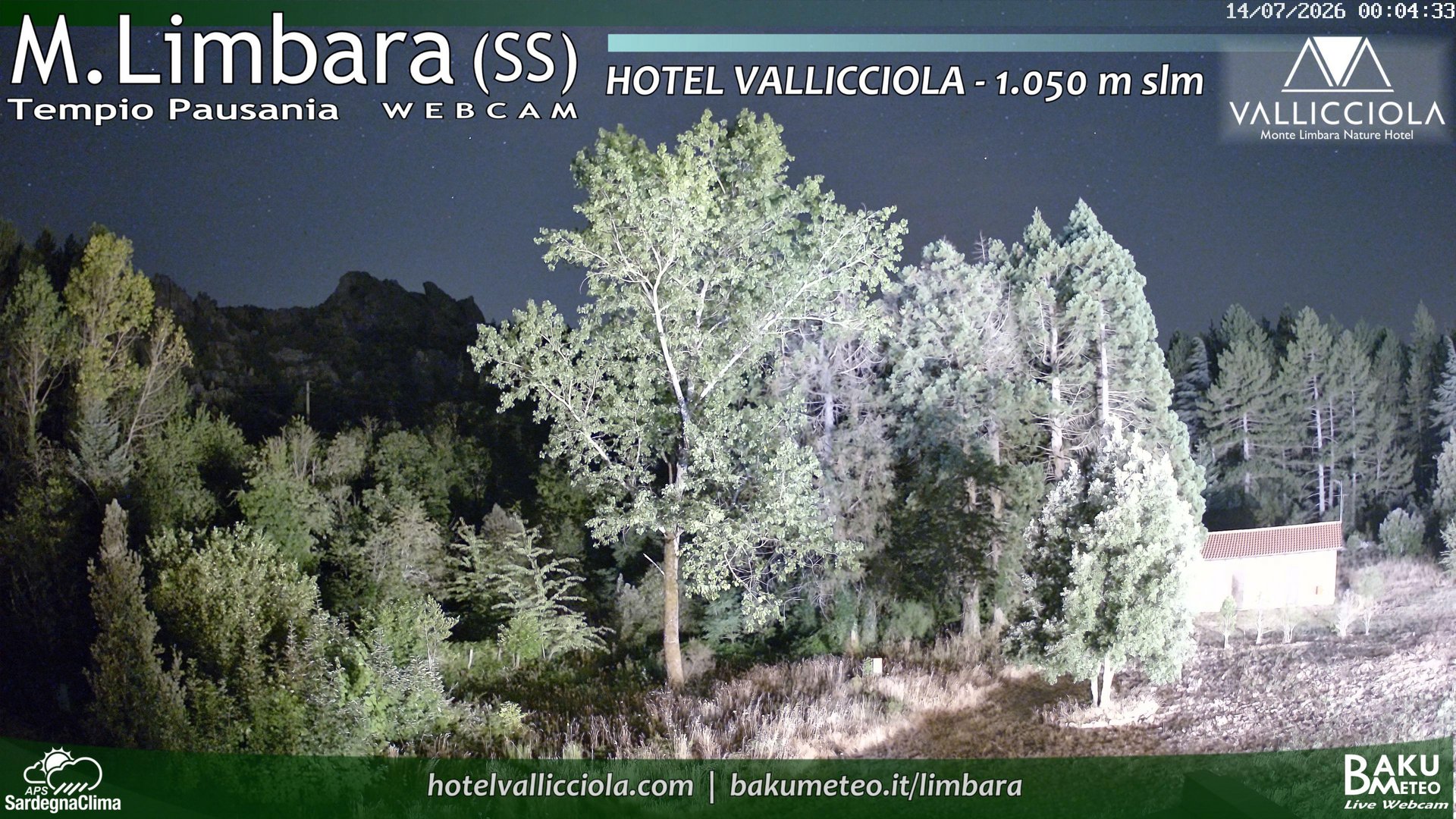 time-lapse frame, Monte Limbara Vallicciola webcam