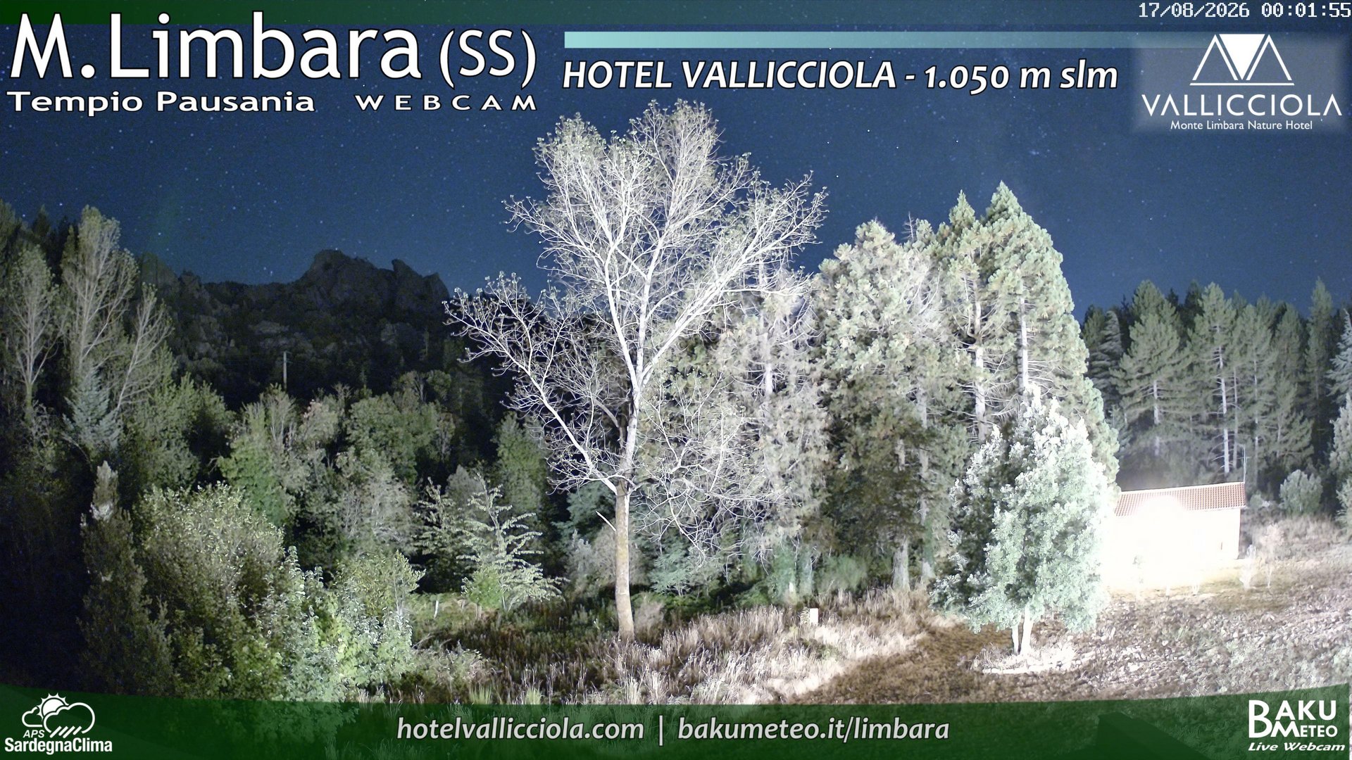time-lapse frame, Monte Limbara Vallicciola webcam