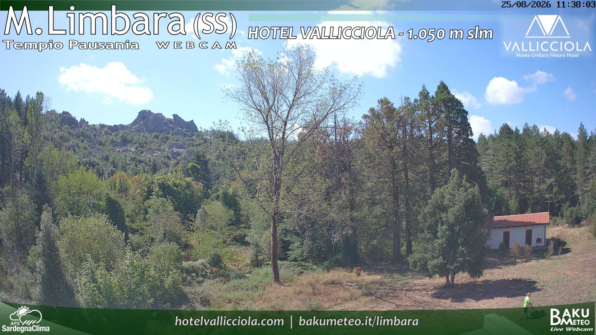 time-lapse frame, Monte Limbara Vallicciola webcam