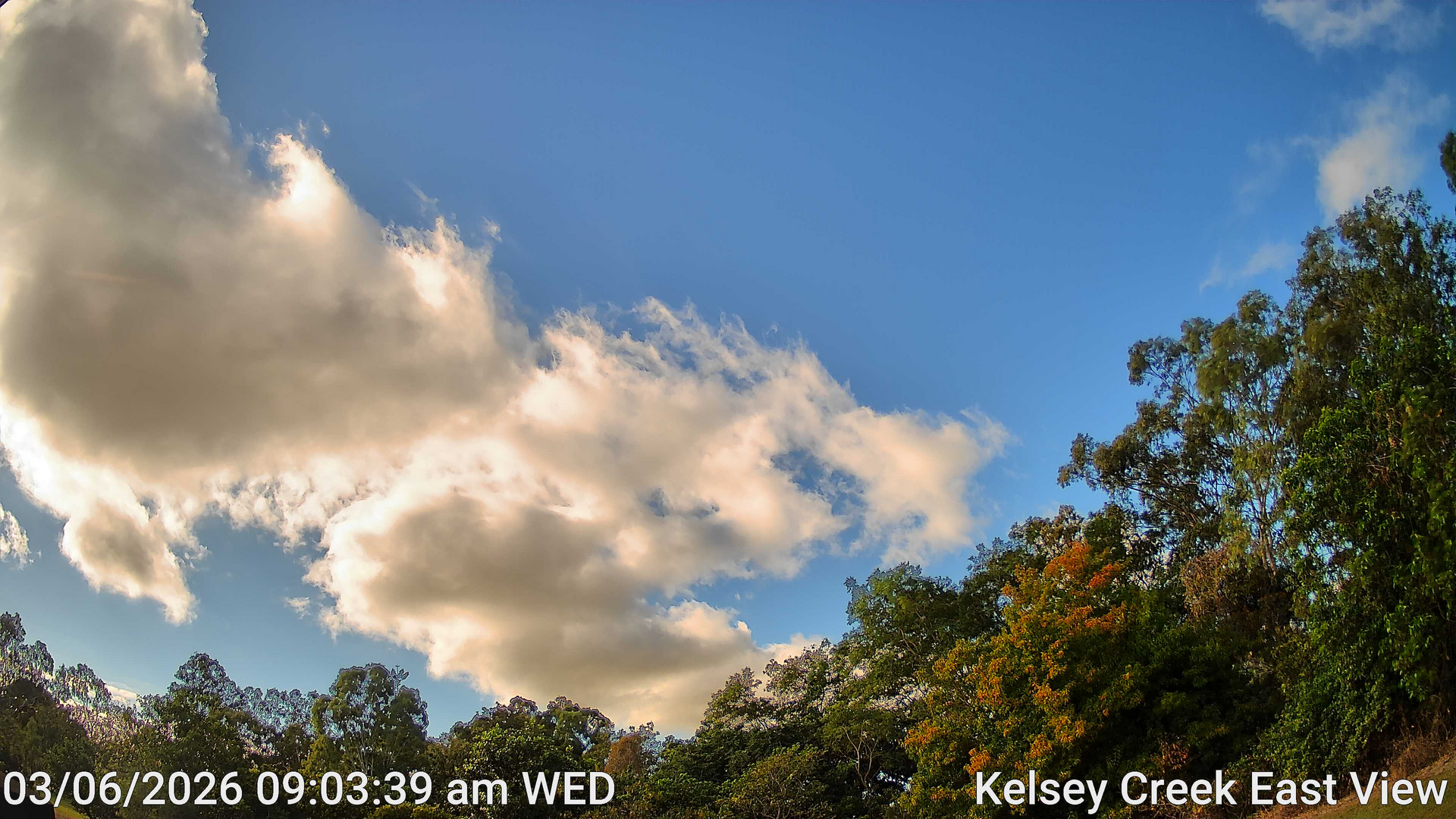 time-lapse frame, Kelsey Creek East View webcam