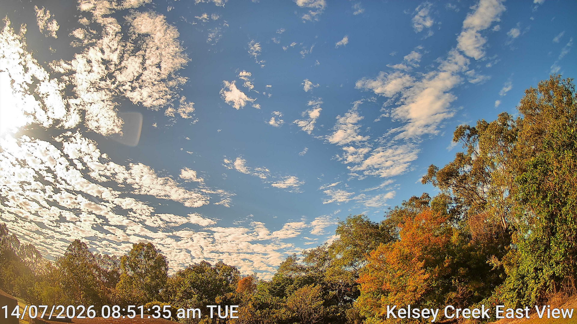 time-lapse frame, Kelsey Creek East View webcam