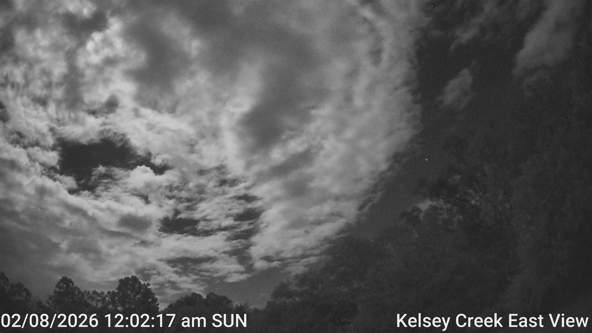 time-lapse frame, Kelsey Creek East View webcam