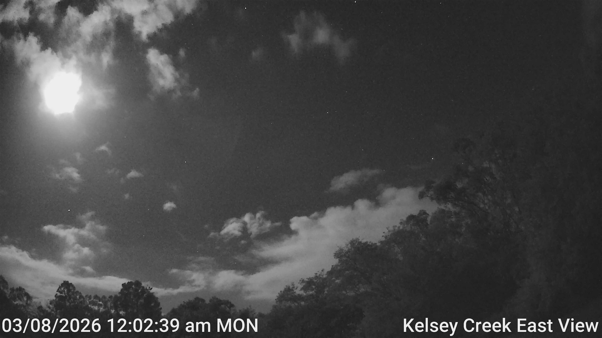 time-lapse frame, Kelsey Creek East View webcam