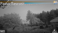 view from Tascusì on 2025-07-01