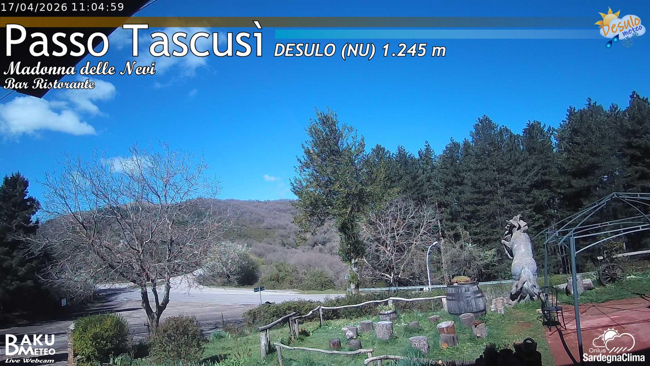 Tascusì animated GIF