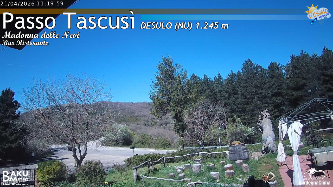 Tascusì animated GIF