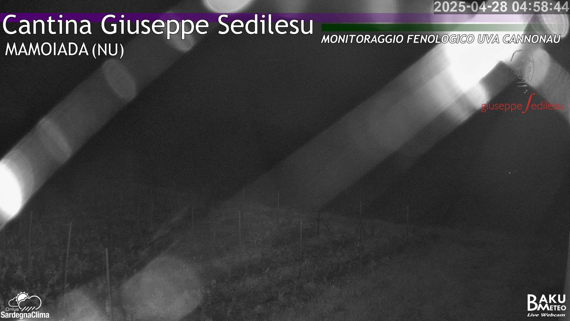 time-lapse frame, Mamoiada Nord webcam