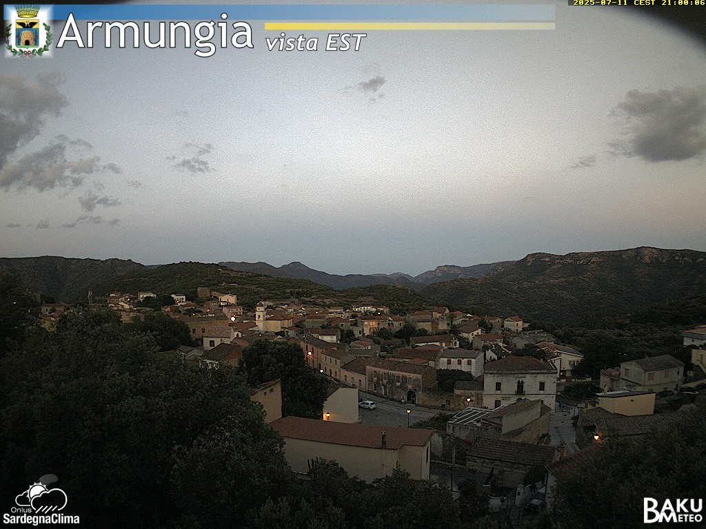 Armungia animated GIF