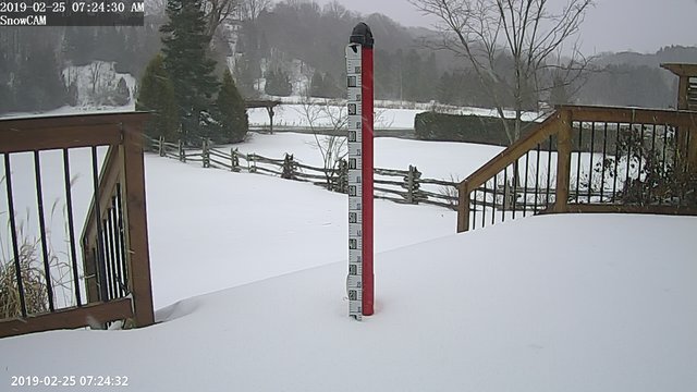 time-lapse frame, Feb 25 webcam