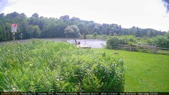 view from Deck-Dock Cam on 2025-06-27