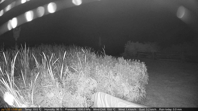 time-lapse frame, Deck-Dock Cam webcam