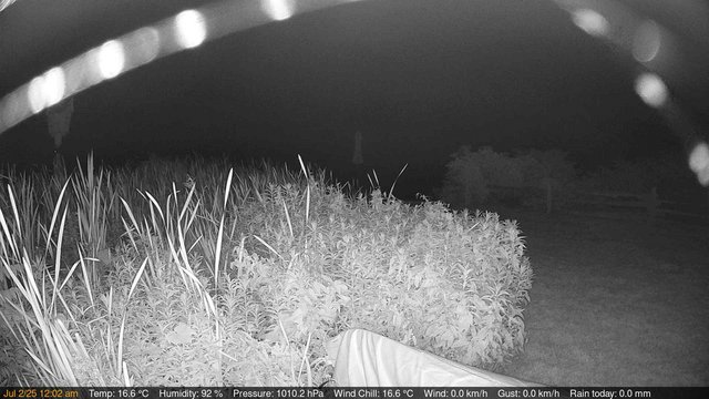 time-lapse frame, Deck-Dock Cam webcam