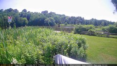 view from Deck-Dock Cam on 2025-07-04