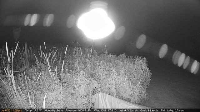 time-lapse frame, Deck-Dock Cam webcam