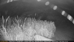 view from Deck-Dock Cam on 2025-07-07