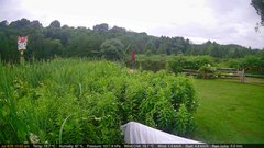 view from Deck-Dock Cam on 2025-07-08