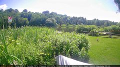 view from Deck-Dock Cam on 2025-07-08