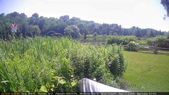 view from Deck-Dock Cam on 2025-07-15