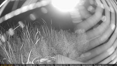 view from Deck-Dock Cam on 2025-07-19