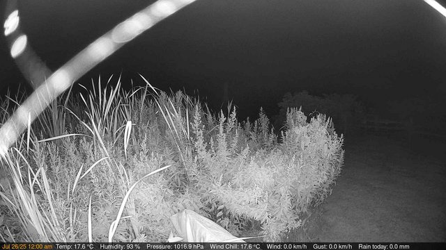 time-lapse frame, Deck-Dock Cam webcam