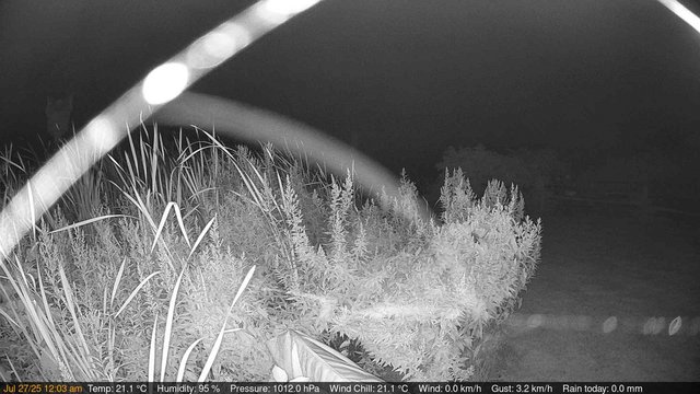time-lapse frame, Deck-Dock Cam webcam