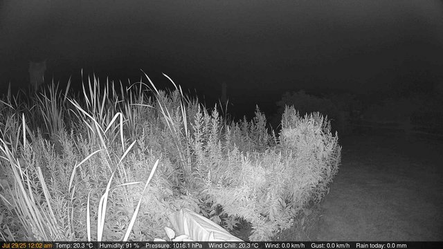 time-lapse frame, Deck-Dock Cam webcam