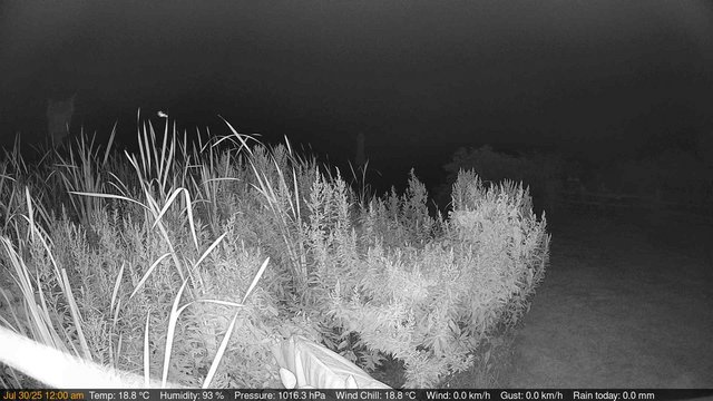 time-lapse frame, Deck-Dock Cam webcam
