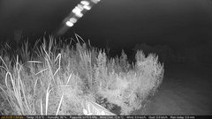 view from Deck-Dock Cam on 2025-07-31
