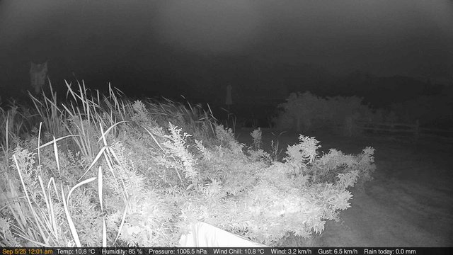 time-lapse frame, Deck-Dock Cam webcam