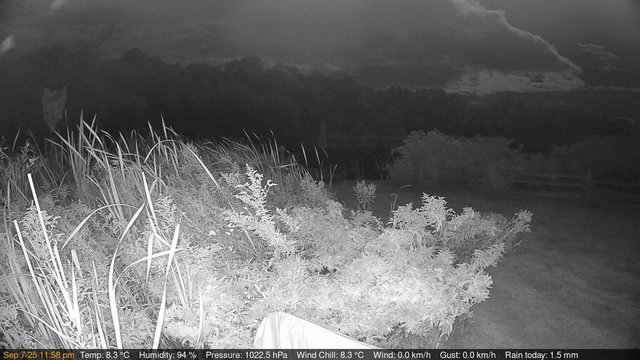 time-lapse frame, Deck-Dock Cam webcam