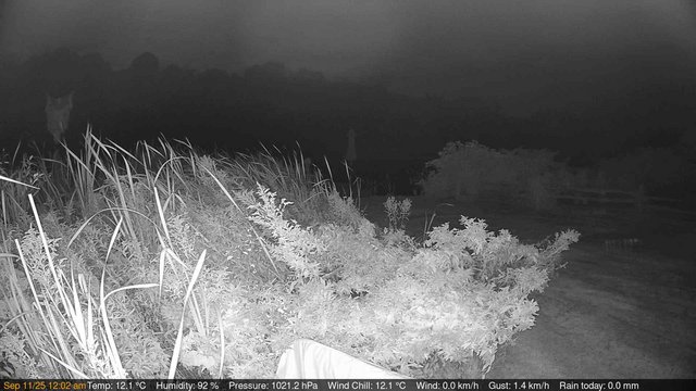 time-lapse frame, Deck-Dock Cam webcam
