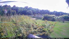 view from Deck-Dock Cam on 2025-09-11