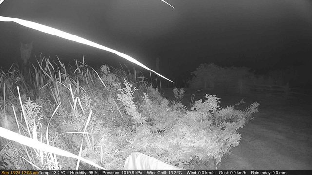 time-lapse frame, Deck-Dock Cam webcam