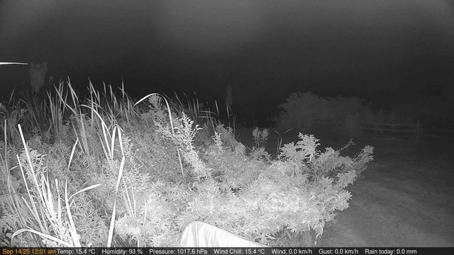 time-lapse frame, Deck-Dock Cam webcam