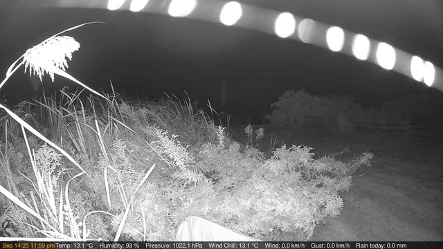 time-lapse frame, Deck-Dock Cam webcam
