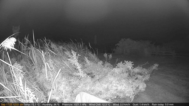 time-lapse frame, Deck-Dock Cam webcam