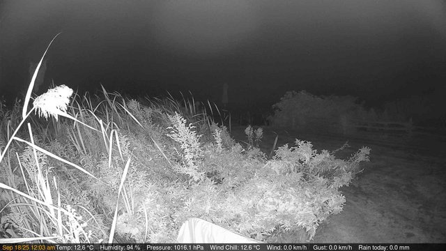time-lapse frame, Deck-Dock Cam webcam