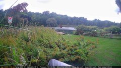 view from Deck-Dock Cam on 2025-09-18