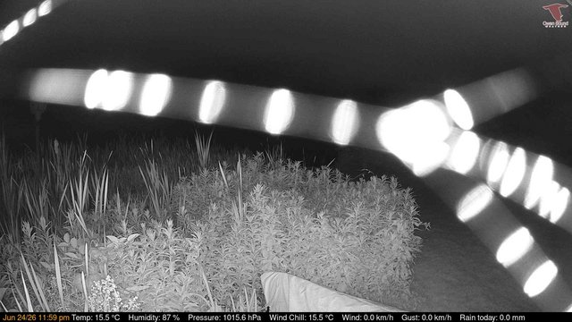 time-lapse frame, Deck-Dock Cam webcam