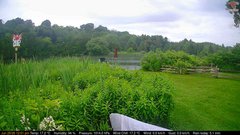 view from Deck-Dock Cam on 2026-06-25