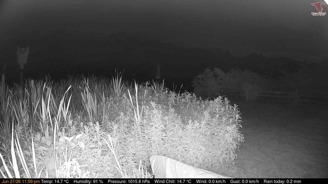 time-lapse frame, Deck-Dock Cam webcam