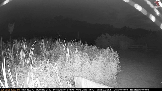time-lapse frame, Deck-Dock Cam webcam
