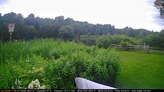 view from Deck-Dock Cam on 2026-06-29